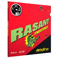 Rasant Powersponge