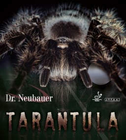 Dr. Neubauer Tarantula