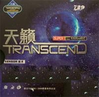 Friendship/729 729 Transcend