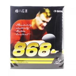 868 (1 Pair Black Packaging)