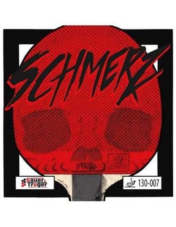 Sauer & Troger Schmerz