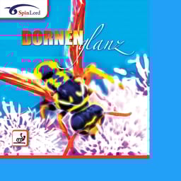 SpinLord Dornenglanz