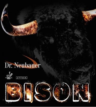 Bison by Dr. Neubauer