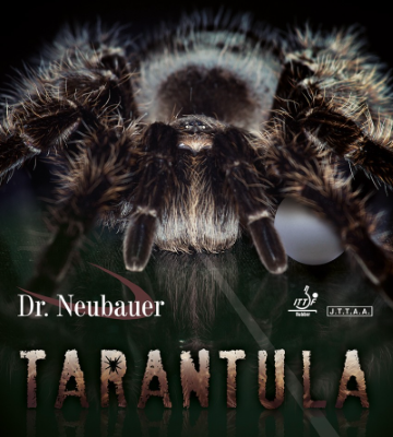 Tarantula by Dr. Neubauer