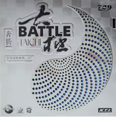 Friendship/729 Battle Taichi by Friendship