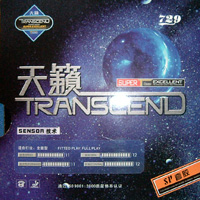Friendship/729 SP Transcend by Friendship