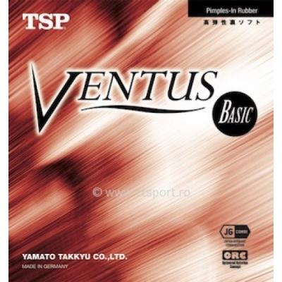 Basic by TSP